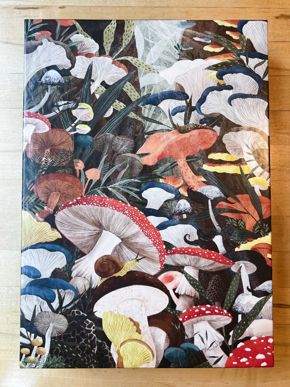 Woodland Mushrooms by Lantern Press 1000 piece puzzle